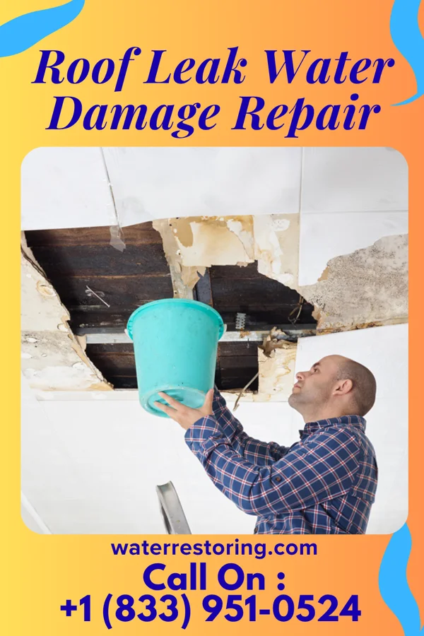 Roof Leak Water Damage Repair in Elida, NM